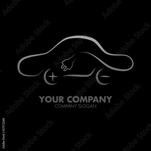 Electric Car Plus & Minus Company