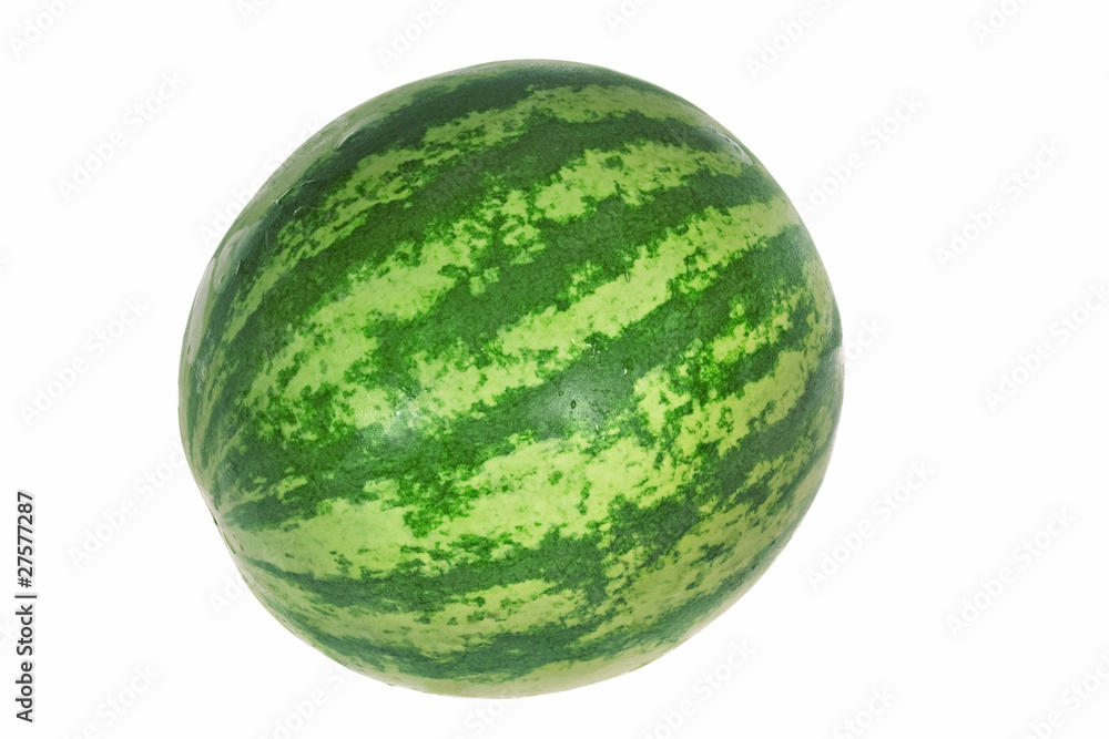 One Watermelon One Watermelon