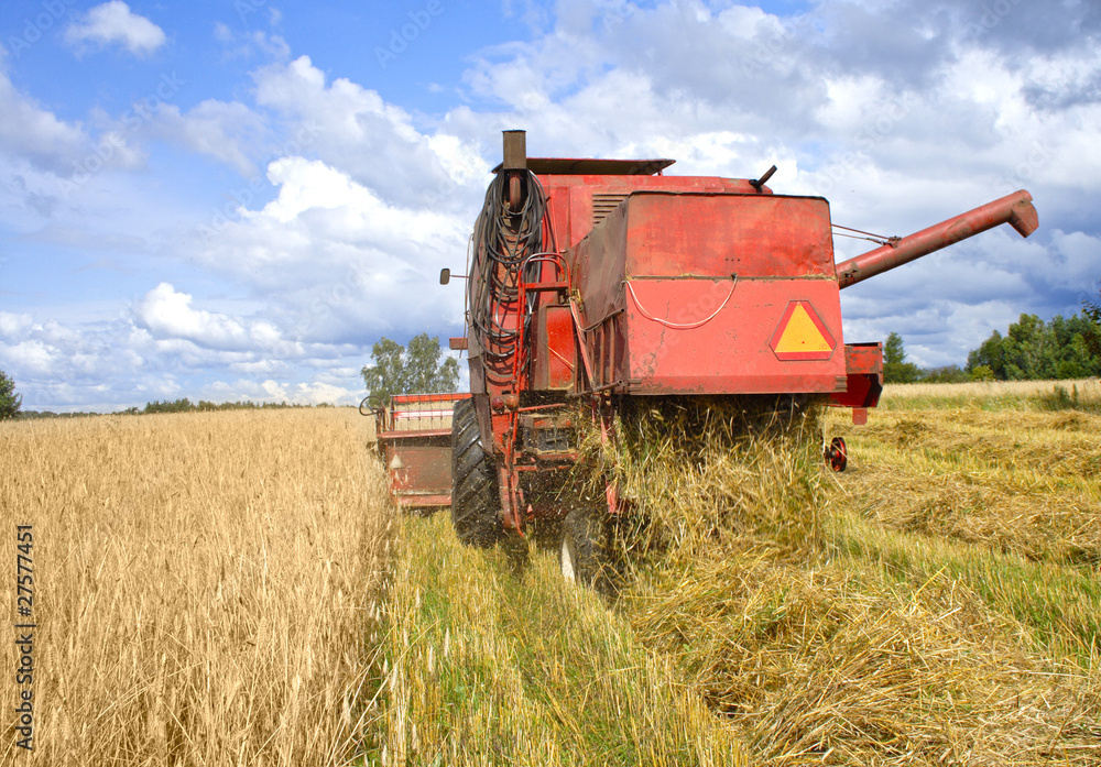 Obraz premium combine harvester