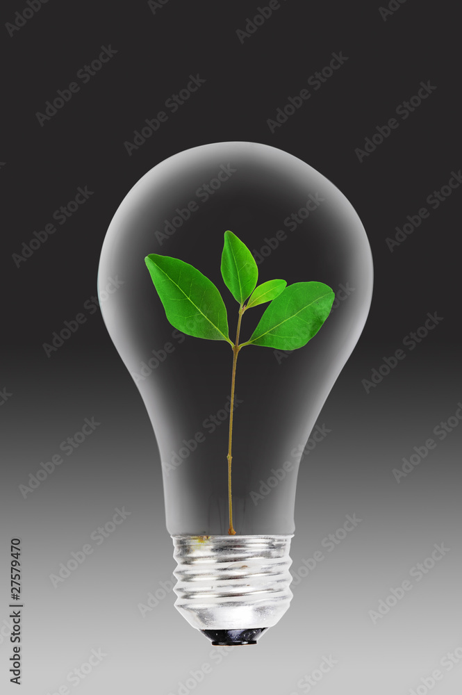 Light bulb with green plant power. Light bulb with green plant power.
