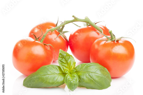 Red shiny tomatos and basil leaves on white background