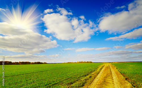 Rural landscape in sunny autumn day.