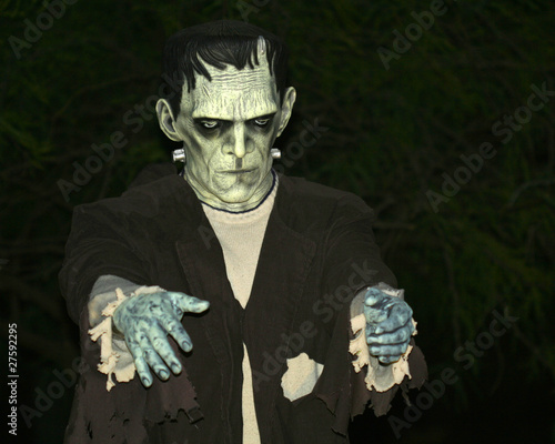 A Frankenstein's Monster Lurks in the Dead of Night photo