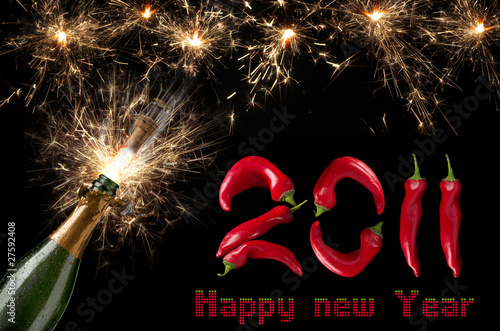 2011 new year photo