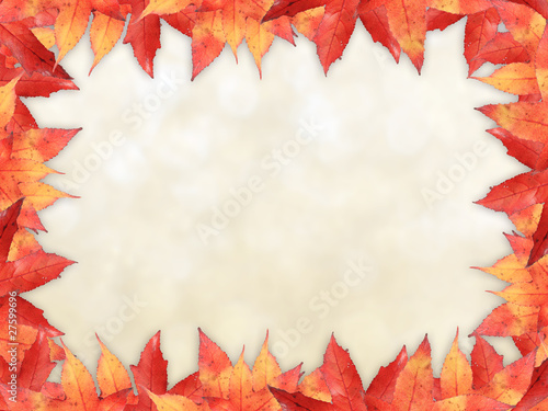 Maple leaves border