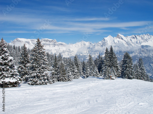 Skiing slope © swisshippo
