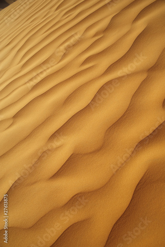 Sahara © MAURO