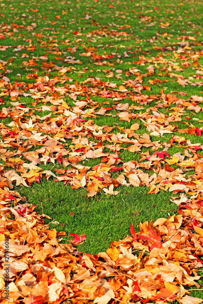 lovely Autumn lovely Autumn