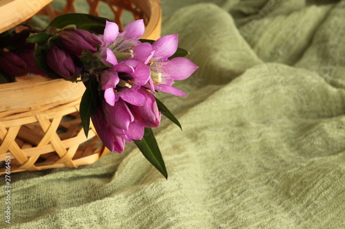 basket of gentian