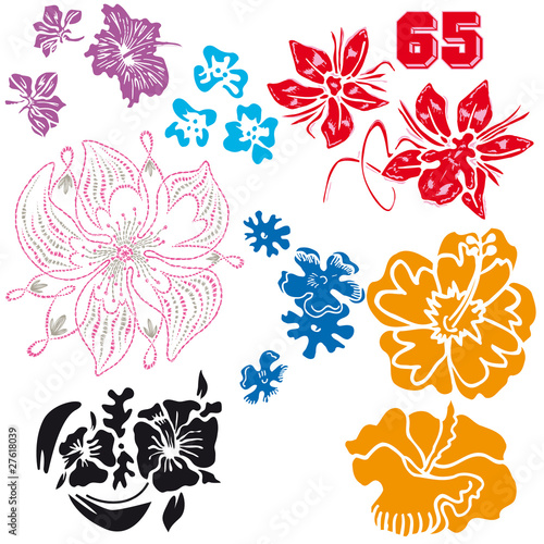 FLEURS HAWAI 2
