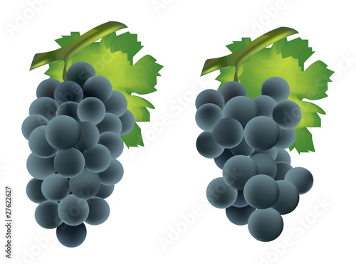 Fresh grape cluster with green leafs