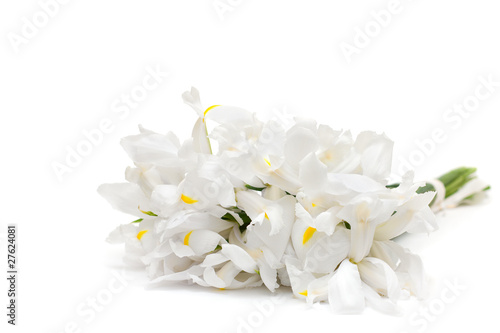 Fototapeta Naklejka Na Ścianę i Meble -  floral arrangement - white flowers