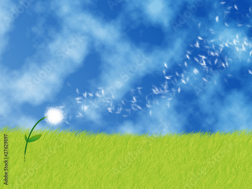 dandelion