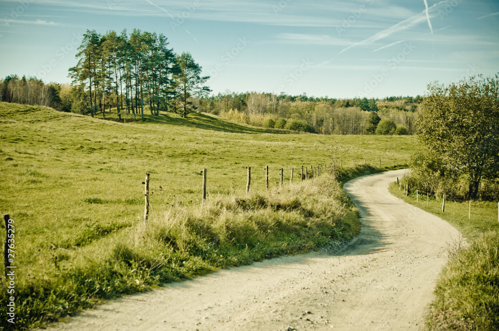 Obraz premium village path