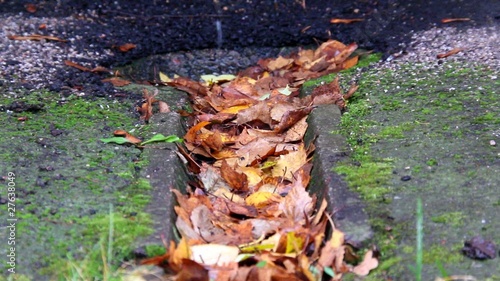 gutter filled with autumn leafs