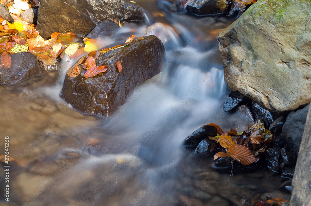 stream flowing among stones