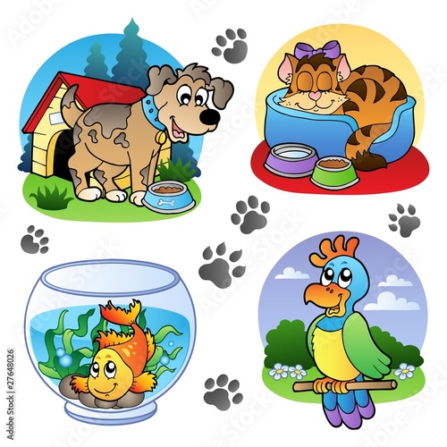 Various pets images 1