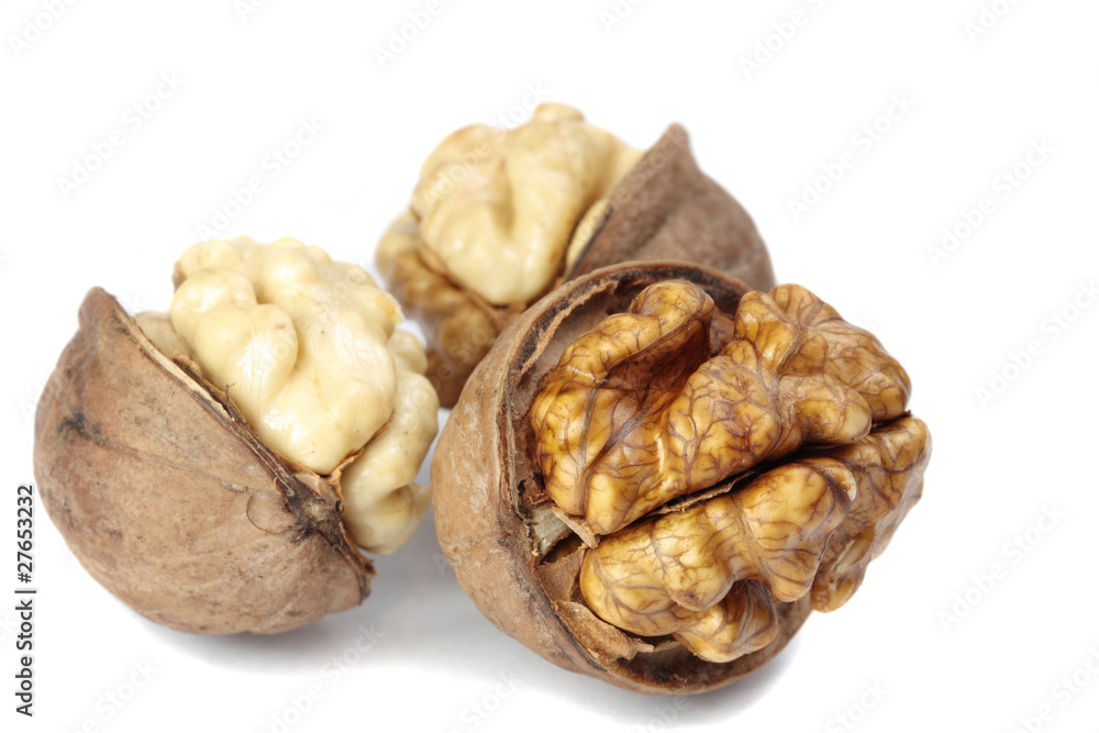 walnut nuts on white background walnut nuts on white background