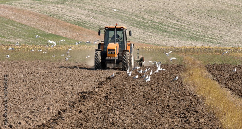 Obraz premium hersage