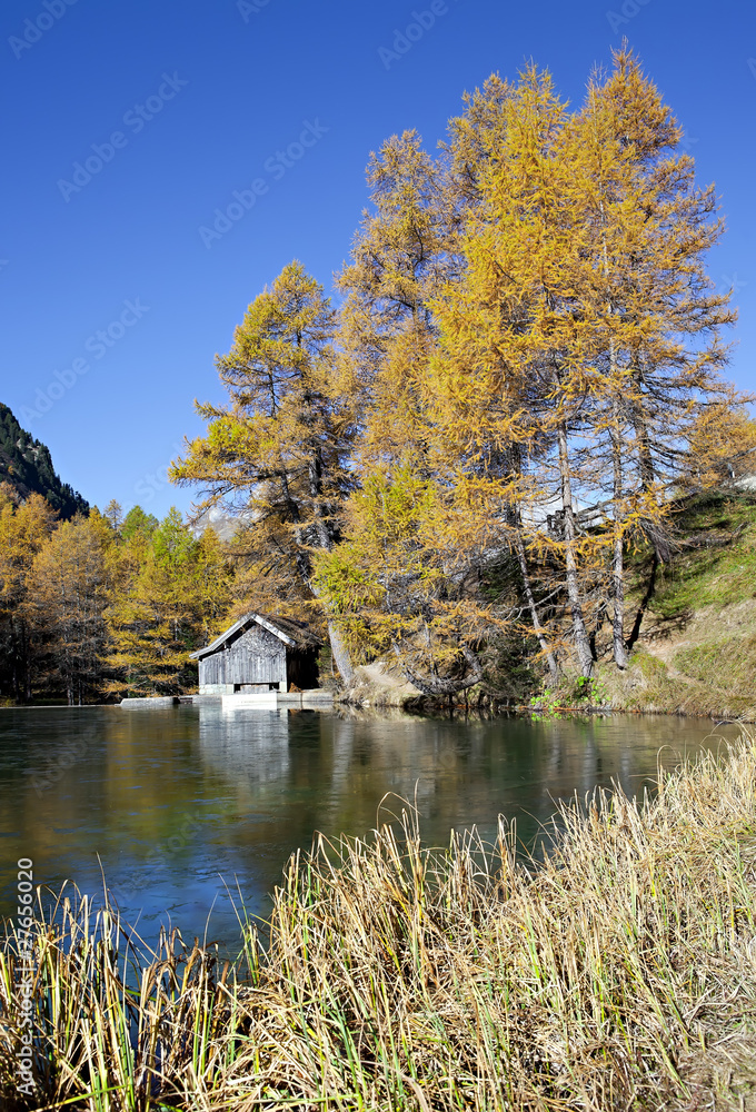 Fototapeta premium Little log cabin by Palpuogna Lake