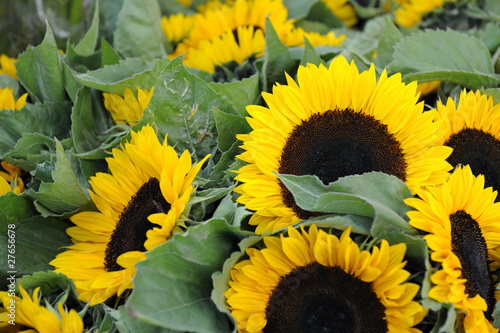 Fototapeta Naklejka Na Ścianę i Meble -  Sunflowers stall in street market
