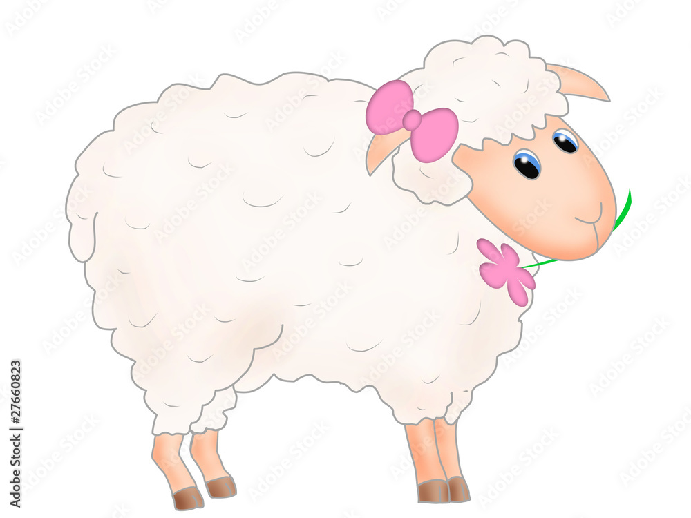 Cute sheep Cute sheep