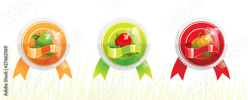 Badges with vegetables A