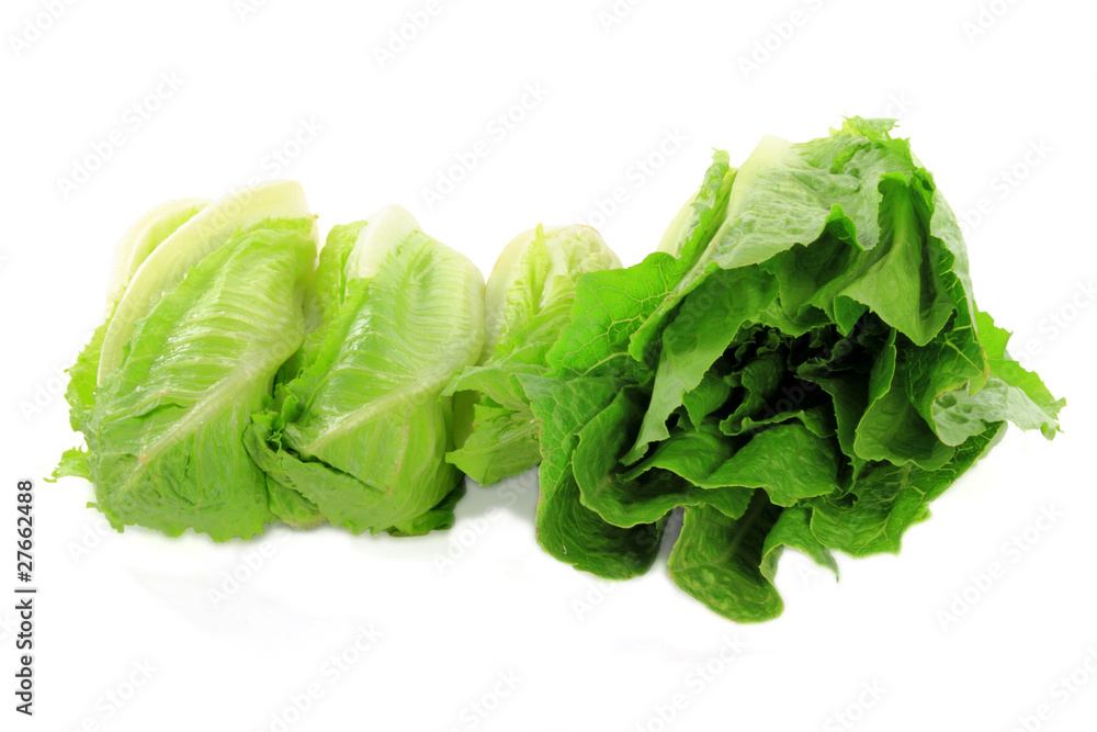 Bunch of different kind Organic Green Salads. Bunch of different kind Organic Green Salads.