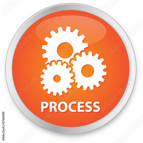 Process