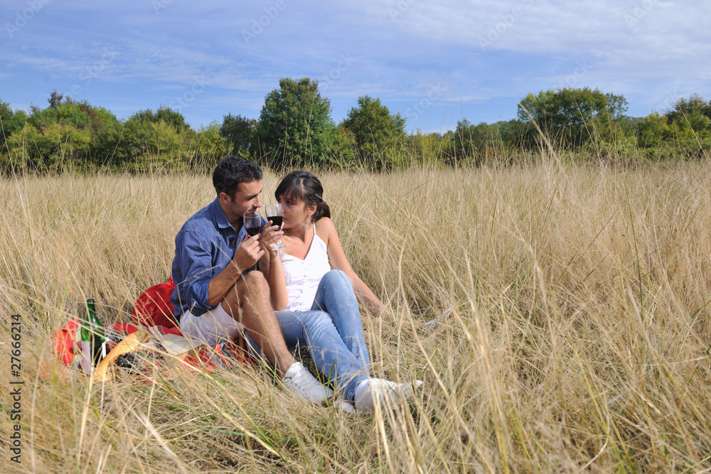happy couple enjoying countryside picnic in long grass happy couple enjoying countryside picnic in long grass
