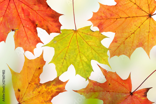 Wallpaper Mural Autumn background Torontodigital.ca