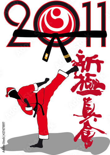 Karate shinkyokushinkai - Martial art in New Year