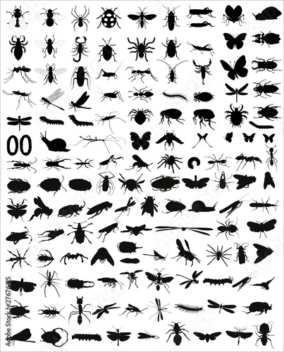 Fototapeta Naklejka Na Ścianę i Meble -  Big collection of 133 different vector insects silhouettes
