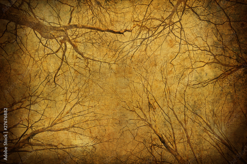 Grunge tree branches upon sky