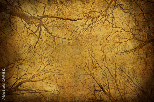 Obraz na płótnie Grunge tree branches upon sky w salonie