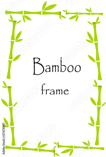 Bamboo border