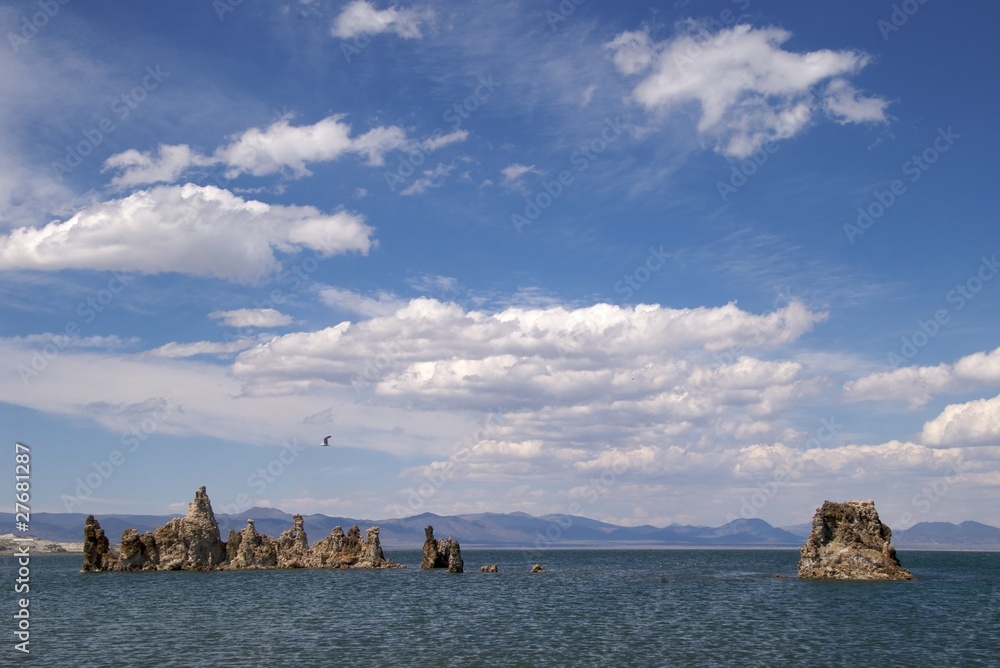 Seagull flying over tufa spires, Mono Lake Tufa Nature Reserve Seagull flying over tufa spires, Mono Lake Tufa Nature Reserve