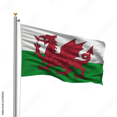 Flag of Wales waving in the wind in front of white background