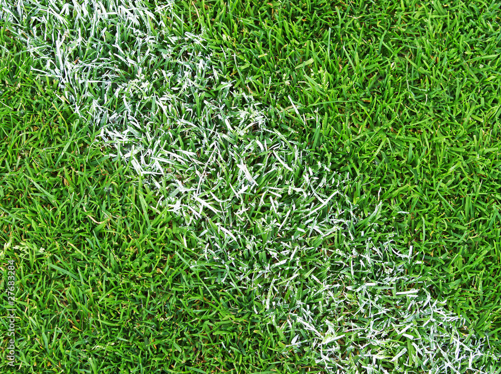 fußball schuhe rasen