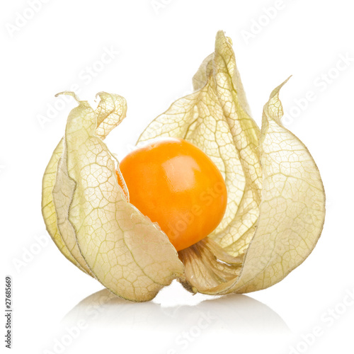 Physalis fruit on white background