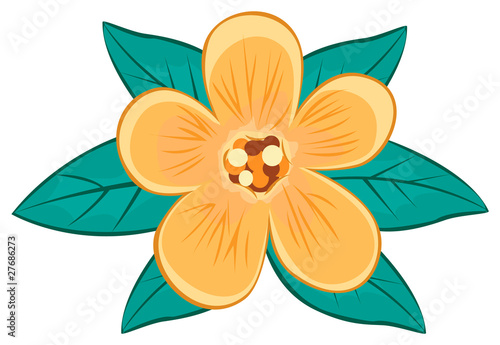 Flower