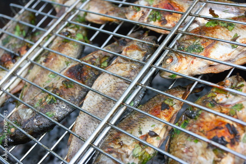 Grilled European carps