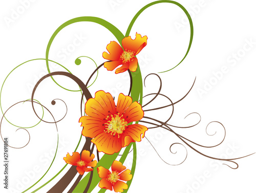 Blumen, Blüten, Ranke, flora, filigran, orange
