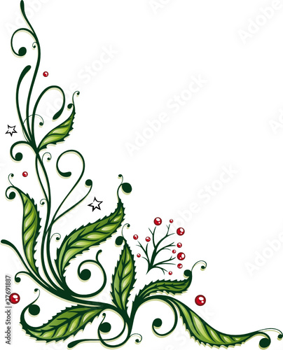 Weihnachten, Advent, Stechpalme, Ranke, Ilix