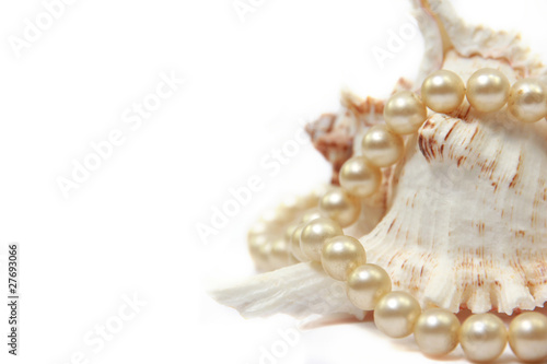 Pearl necklace with shell isolated on white background