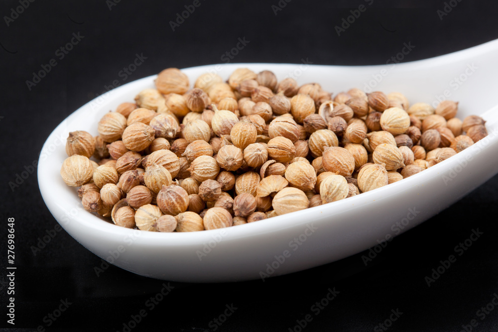 Coriandolo Coriandolo