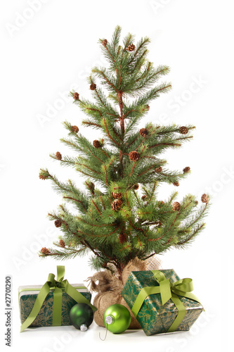 Little Christmas tree with gifts on white