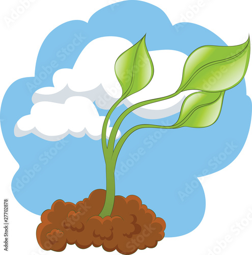 green plant