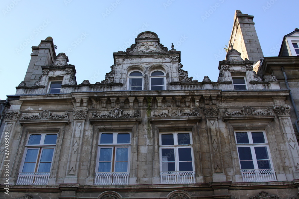 Fototapeta premium Fougères