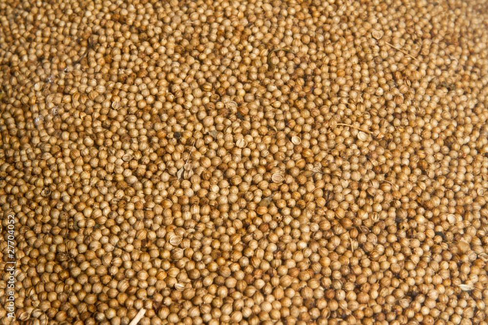 Head coriander Head coriander